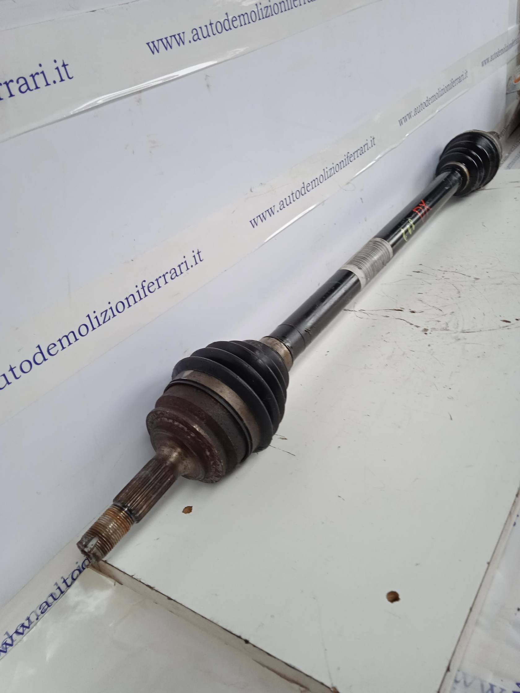 Semialbero ant. compl. dx.